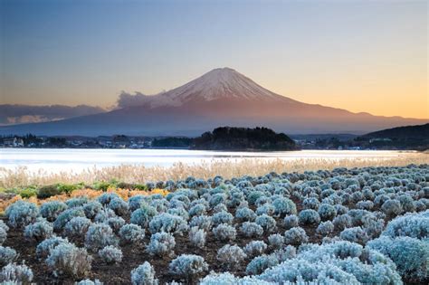 Seven amazing views of Mount Fuji - Wapedia