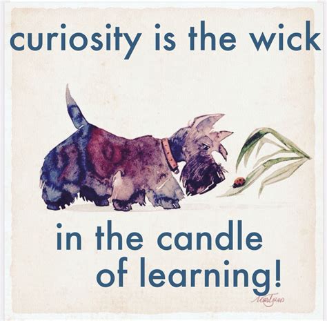 Curiosity | Quote of the day, Curiosity, Movie posters