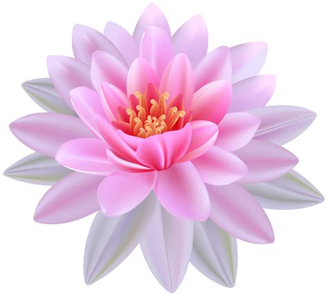 Pink water lily clipart 20 free Cliparts | Download images on Clipground 2023