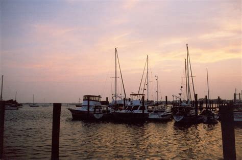 Sunset in the marina Free Photo Download | FreeImages