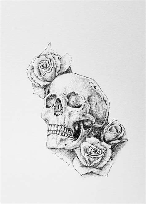 Skull And Roses Drawing - Rectangle Circle