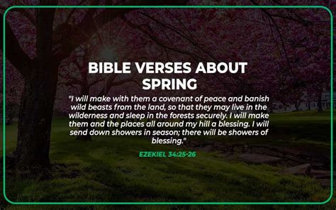 30 Top Bible Verses About Spring - Scripture Savvy