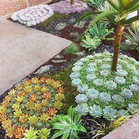 36 Awesome Succulent Front Yard Landscaping Ideas | Succulent landscape ...