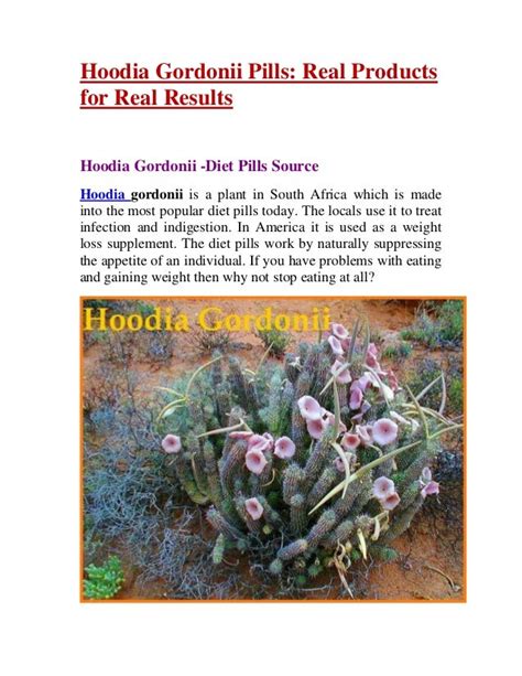 Hoodia gordonii pills -Diet Source