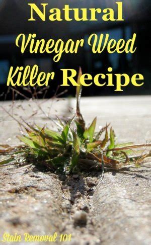 Natural Vinegar Weed Killer Recipe {Simple & Frugal}