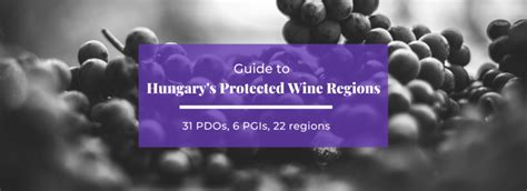 Guide to Hungarian Wine Regions — Taste Hungary