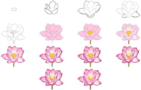 How To Draw A Lotus Flower Step By Step For Kids