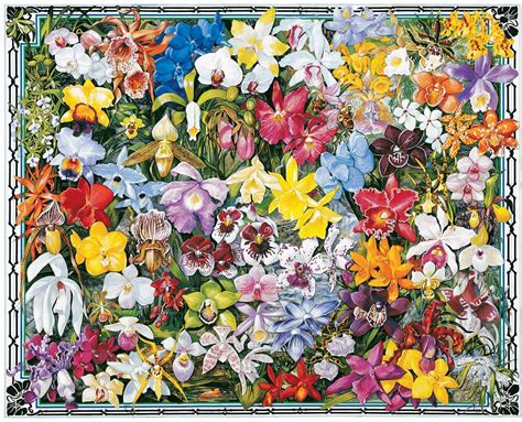 Orchids by Ernest O. Brown | Flower jigsaw puzzles, Art, Orchids