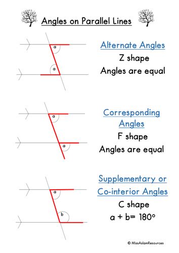 Angles on Parallel Lines Handout /Poster | Teaching Resources