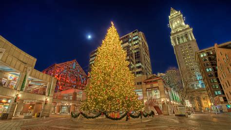 Boston's Christmas Tree Has Been Chosen for 2018 | Martha Stewart