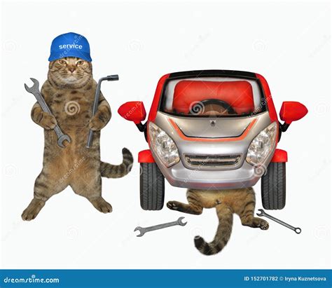 Cats fixing the red car stock photo. Image of background - 152701782