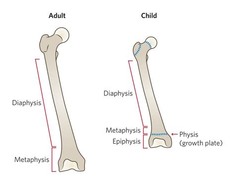 Dr. Leo Donnan – Paediatric & Adult Orthopaedic Surgeon – Paediatric Fractures and Sports Injury