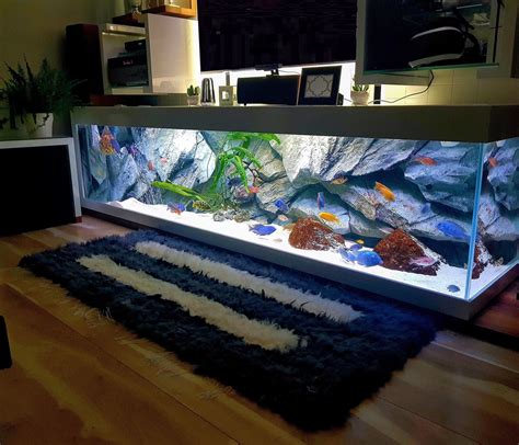 3D Aquarium Backgrounds & Fish Tank Decorations - Aquadecor | Fish tank ...