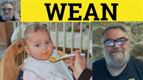 🔵 Wean Meaning - Wean Off Defined - Wean On Examples - Phrasal Verbs ...