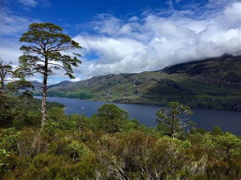 Beinn Eighe National Nature Reserve (Kinlochewe) - 2020 All You Need to ...