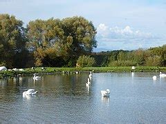 Category:Caerlaverock National Nature Reserve - Wikimedia Commons