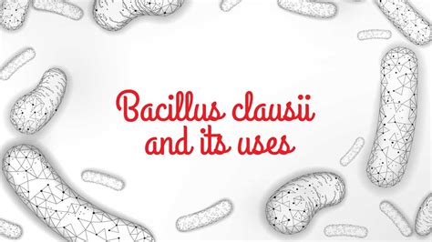 Bacillus Clausii and its uses