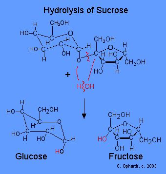 17.3.2: Sucrose - Chemistry LibreTexts