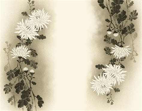 White Flowers for Powerpoint « PPT Backgrounds Templates