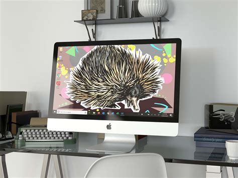 Echidna Printable | K H ARTWORKS