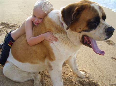 Feel The Love: 30 Kids Giving Hugs to Their Dogs - Best Photography, Art, Landscapes and Animal ...