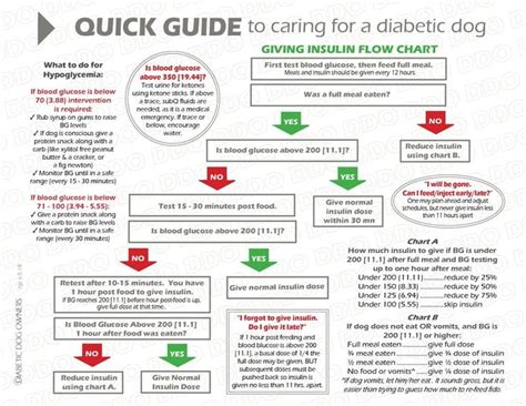 Dog Insulin Dosage Chart