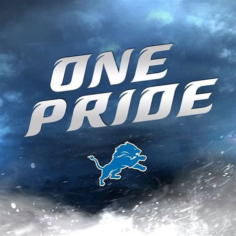 Pin by Equine Chaps on Detroit Lions | Detroit lions football, Lions ...