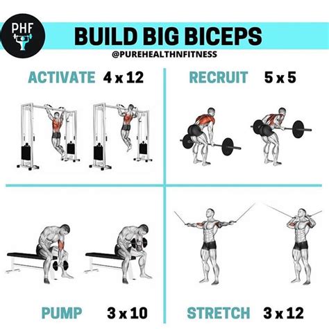 Bicep workout | Biceps workout, Big biceps workout, Gym workouts for men