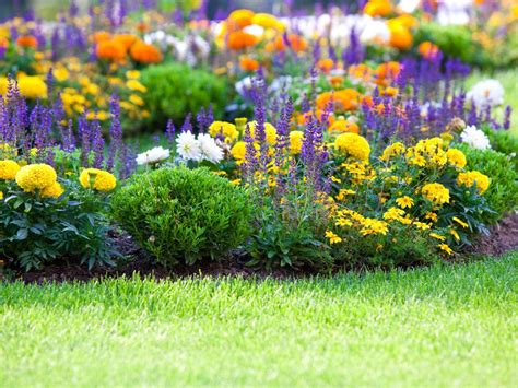 Flower Gardening: How To Start A Flower Garden