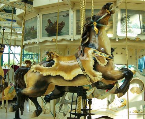 Carousel Center Carousel | Carousel horses, Carousel, Pretty horses