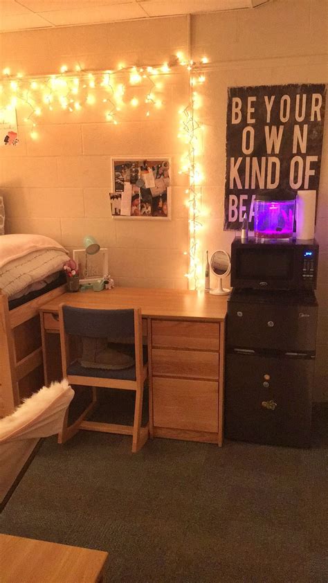 Hood College Freshman Dorm Room | Dorm room themes, Freshman dorm, Dorm ...