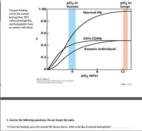 Answered: pO2 in tissues p02 in lungs 1.00… | bartleby