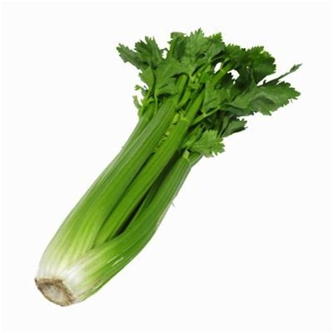 Free Celery Stick Cliparts, Download Free Celery Stick Cliparts png images, Free ClipArts on ...