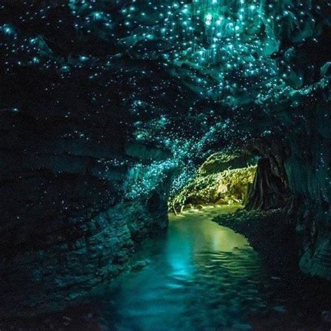 Waitomo Glowworm Caves – Waitomo, New Zealand - Atlas Obscura