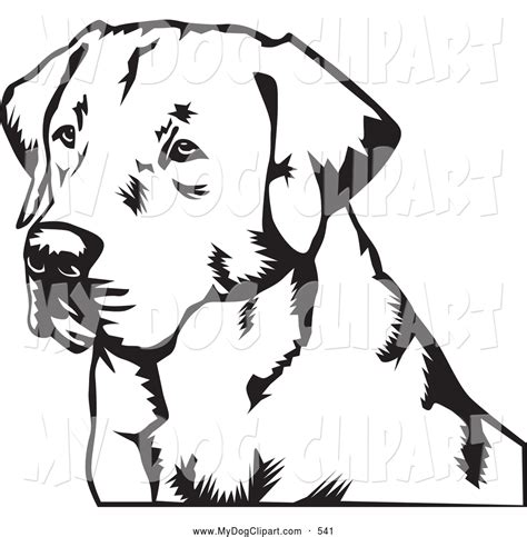 Black Lab Line Drawing at GetDrawings | Free download