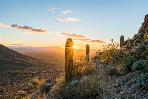 An Insider's Guide to Arizona's Saguaro National Park