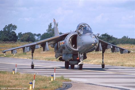 British Aerospace Harrier II - Photos & Videos | British aerospace, Harrier, Aerospace