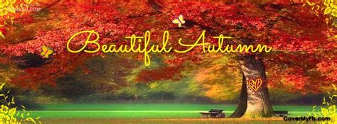 Beautiful Autumn | Facebook cover images, Autumn nature, Cover photos