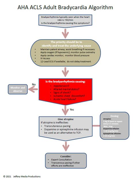 2020 Bradycardia algorithm review | ACLS-Algorithms.com