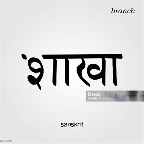 Sanskrit Hand Drawn Calligraphy Font Branch Indian Text Vector Hindu ...