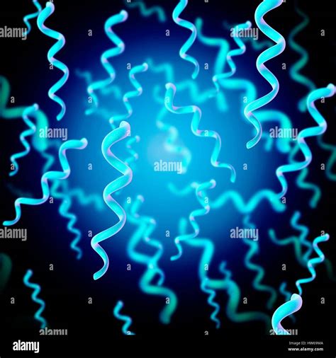 Illustration of spirillum bacteria Stock Photo - Alamy