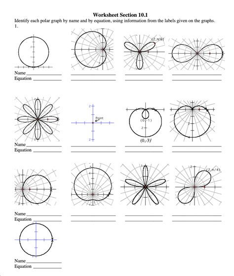 ️Polar Graphs Worksheet Free Download| Gambr.co