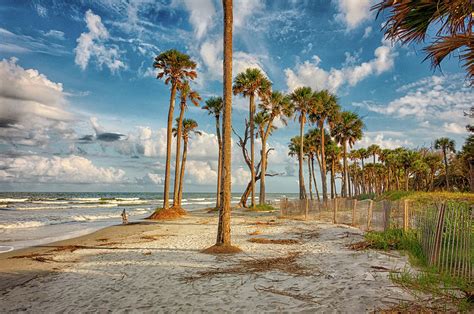 Hunting island south carolina beach scenes Photograph by Alex Grichenko - Fine Art America