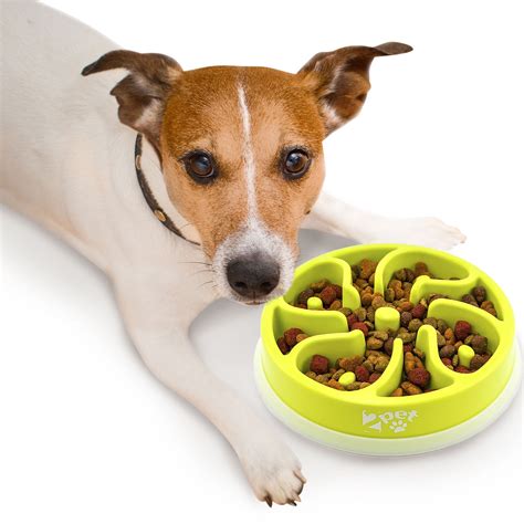 Slow Feed Dog Bowl Slowly Bowly by 2PET. Fun Interactive Dog Dish for Fast Eaters. Prevent ...