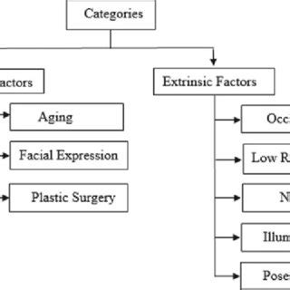 (PDF) A Comprehensive Review on Face Recognition Methods and Factors Affecting Facial ...