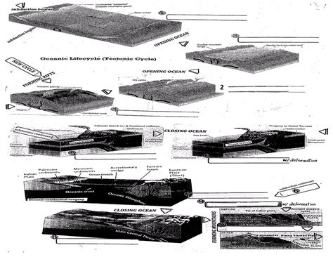 Geology Exam 3 - Orogeny Diagram | Quizlet