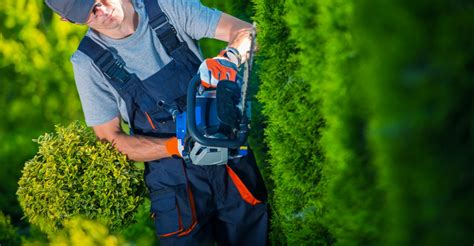 Why You Should Hire a Commercial Landscaper • ABC Scapes Inc