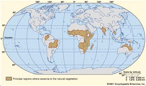 Savanna Maps