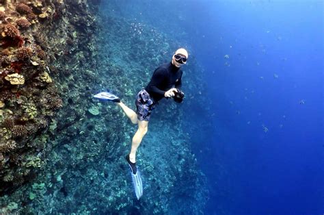 Should you snorkel or scuba dive in Molokini Crater, Hawaii?