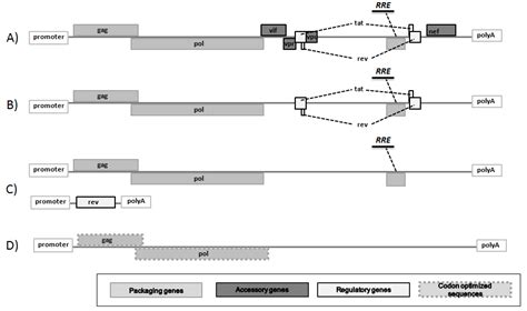 Lentiviral Gene Therapy Vectors: Challenges and Future Directions ...